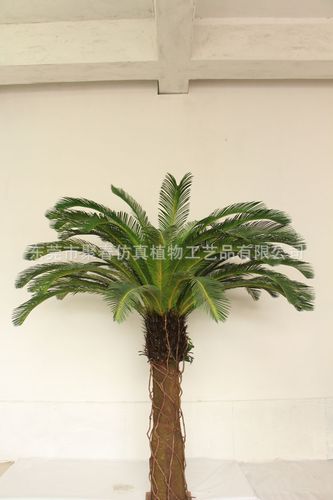 仿真铁树 苏铁 仿真绿植 厂家直销 植物造景 价格优惠 - 苗木批发交易